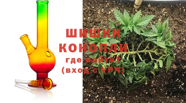 дживик Арсеньев