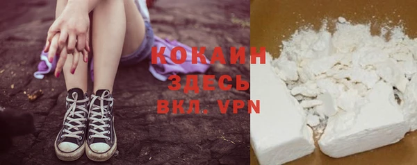 дживик Арсеньев