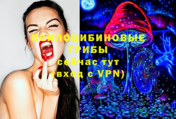 дживик Арсеньев