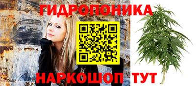 винт Берёзовский